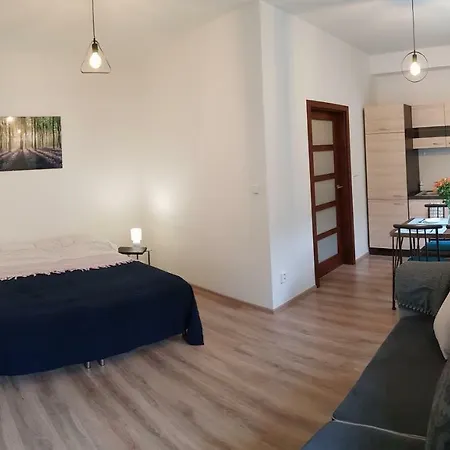 Apartment Trnita *