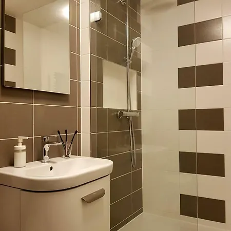Apartment Trnita Brno